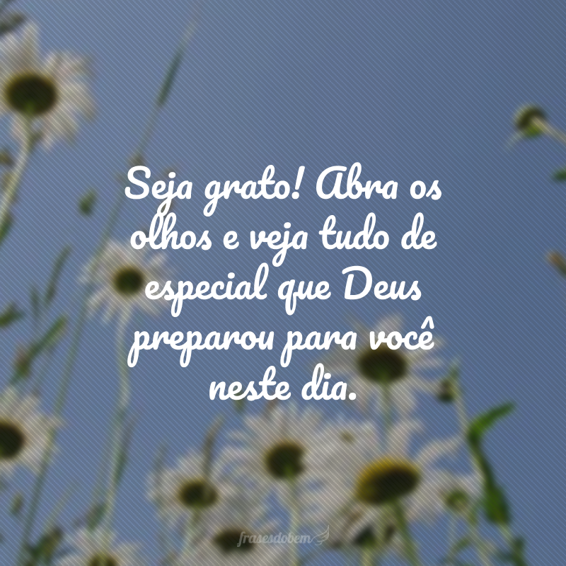 Seja grato! Abra os olhos e veja tudo de especial que Deus preparou para você neste dia. 