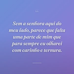 Sem a senhora aqui do meu lado, parece que falta uma parte de mim que para sempre eu olharei com carinho e ternura.