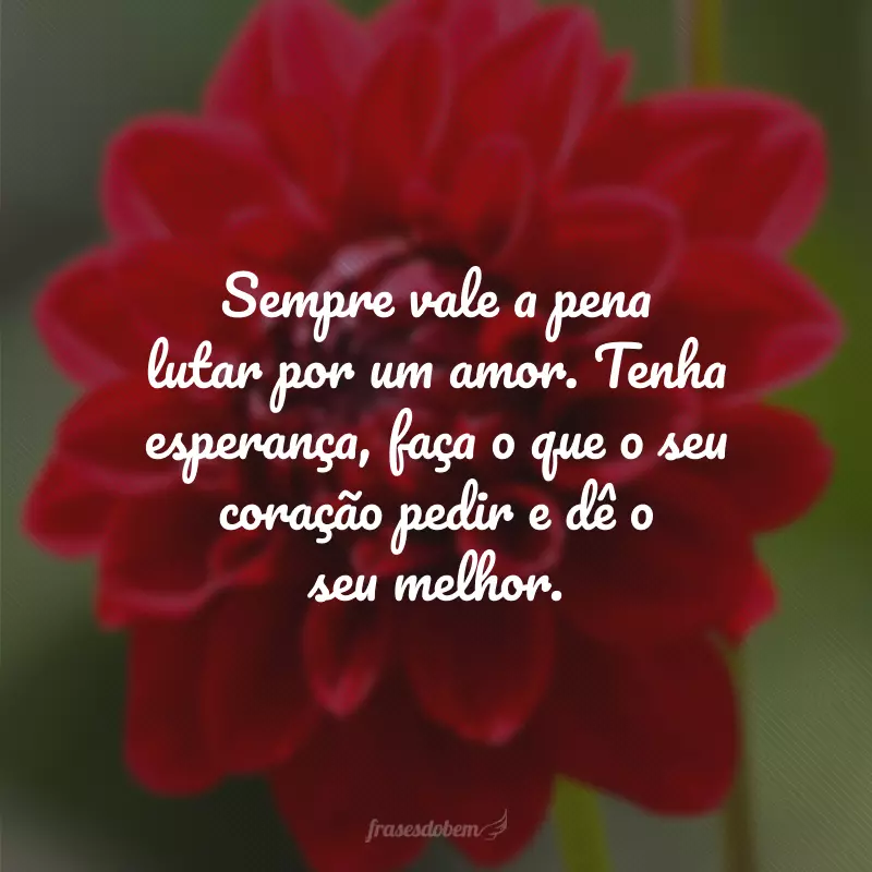 Sempre vale a pena lutar por um amor. Tenha esperança, faça o que o seu coração pedir e dê o seu melhor.