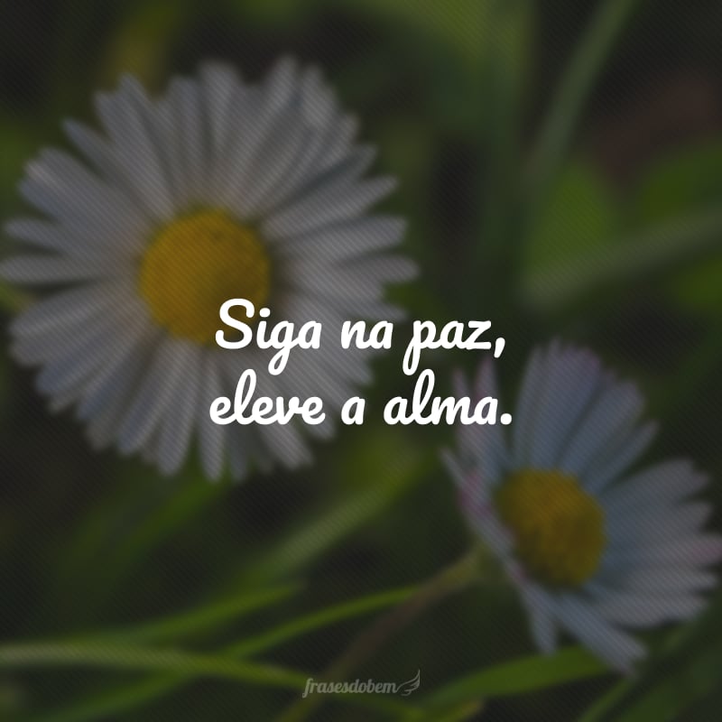 Siga na paz, eleve a alma.