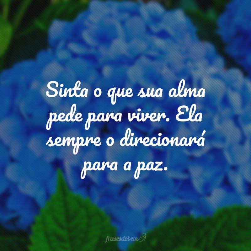 Sinta o que sua alma pede para viver. Ela sempre o direcionará para a paz.