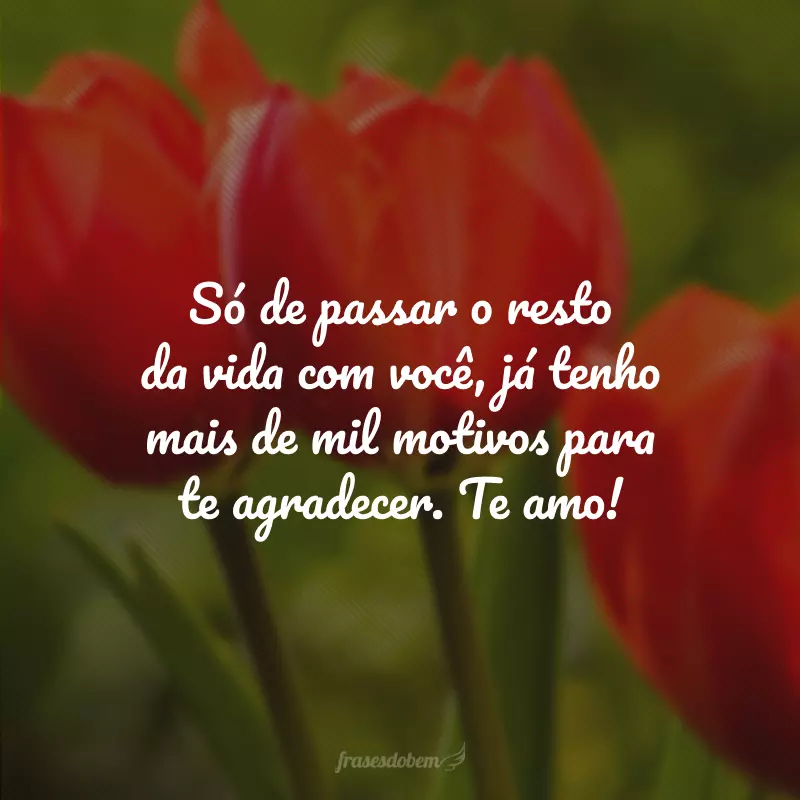 Só de passar o resto da vida com você, já tenho mais de mil motivos para te agradecer. Te amo!