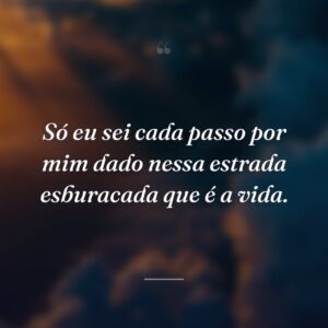 Só eu sei cada passo por mim dado nessa estrada esburacada que é a vida.
