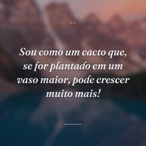 Sou como um cacto que, se for plantado em um vaso maior, pode crescer muito mais!