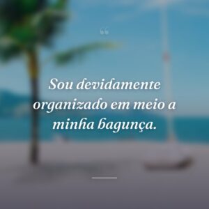 Sou devidamente organizado em meio a minha bagunça.