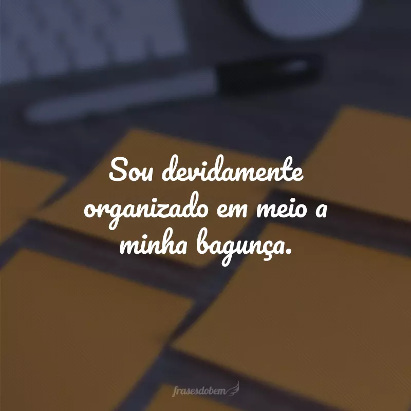 Sou devidamente organizado em meio a minha bagunça. 