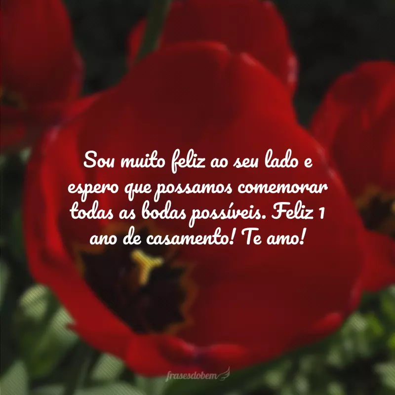 Sou muito feliz ao seu lado e espero que possamos comemorar todas as bodas possíveis. Feliz 1 ano de casamento! Te amo!