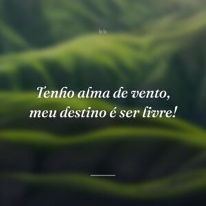 Tenho alma de vento, meu destino é ser livre!