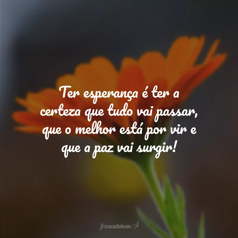 Ter esperança é ter a certeza que tudo vai passar, que o melhor está por vir e que a paz vai surgir!