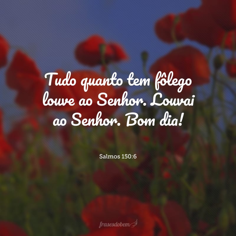 Tudo quanto tem fôlego louve ao Senhor. Louvai ao Senhor. Bom dia!