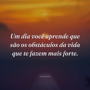 Um dia você aprende que são os obstáculos da vida que te fazem mais forte.