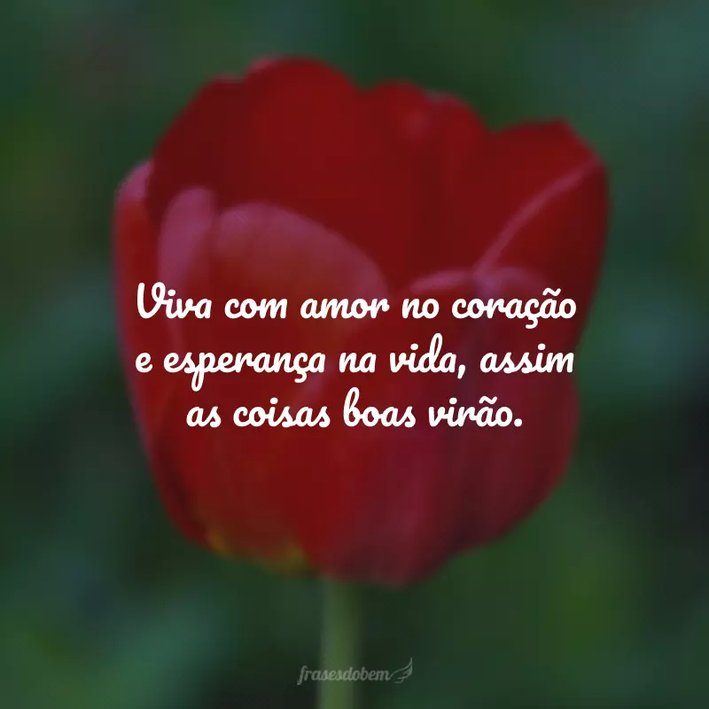 Viva com amor no coração e esperança na vida, assim as coisas boas virão.