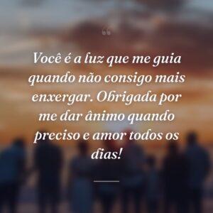Você é a luz que me guia quando não consigo mais enxergar. Obrigada por me dar ânimo quando preciso e amor todos os dias!