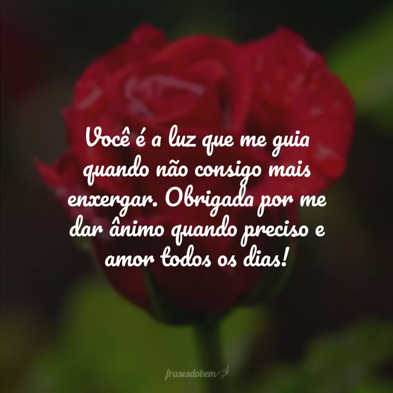 Você é a luz que me guia quando não consigo mais enxergar. Obrigada por me dar ânimo quando preciso e amor todos os dias!