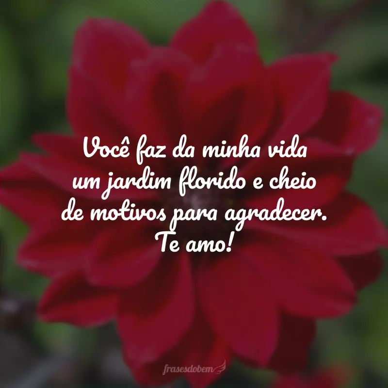 Você faz da minha vida um jardim florido e cheio de motivos para agradecer. Te amo!