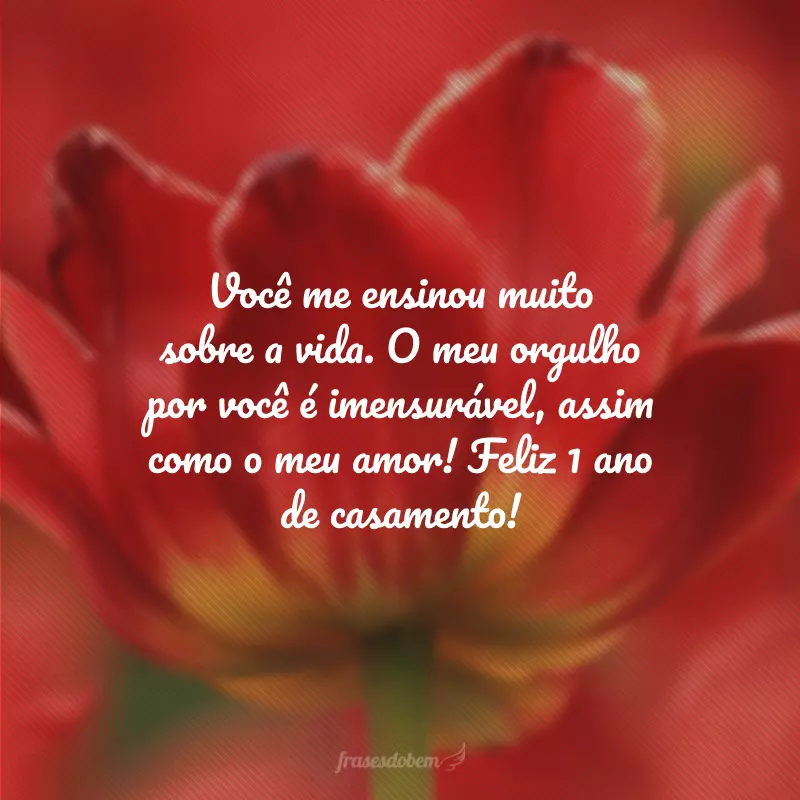 Você me ensinou muito sobre a vida. O meu orgulho por você é imensurável, assim como o meu amor! Feliz 1 ano de casamento!