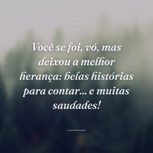 Você se foi, vó, mas deixou a melhor herança: belas histórias para contar... e muitas saudades!