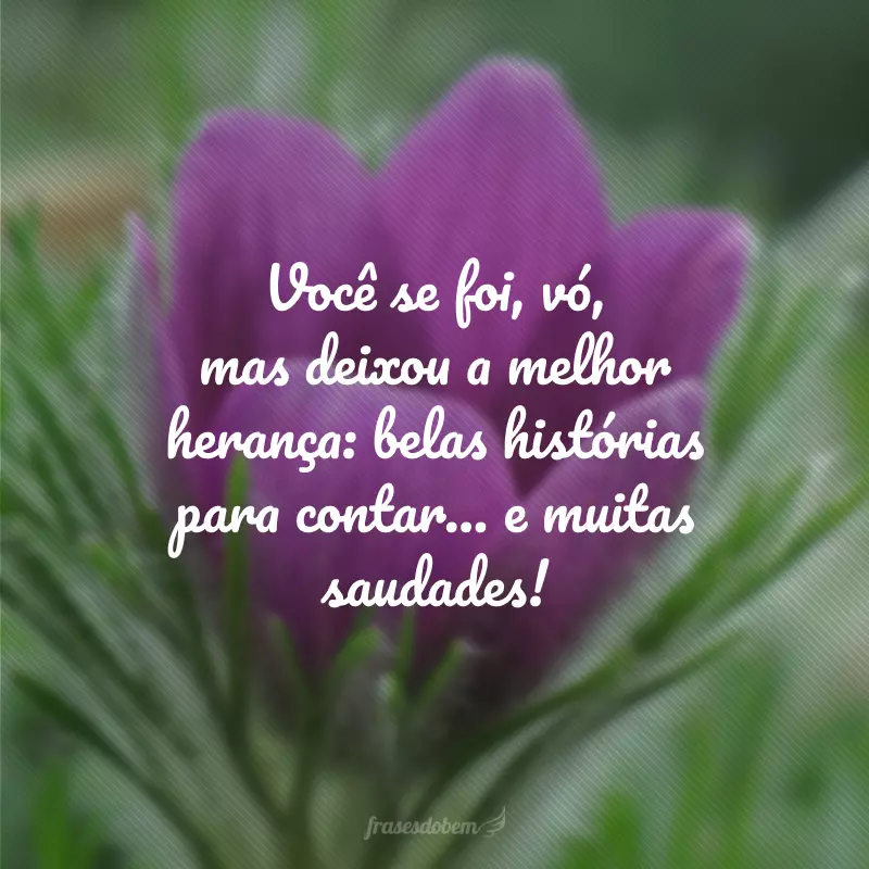 Você se foi, vó, mas deixou a melhor herança: belas histórias para contar... e muitas saudades!