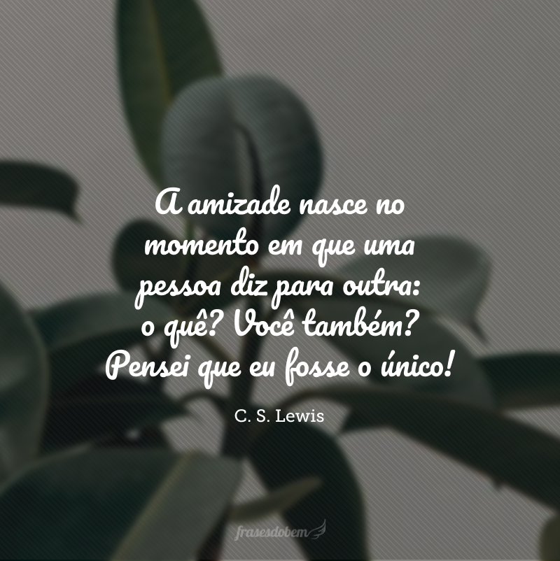 A amizade nasce no momento em que uma pessoa diz para outra: o quê? Você também? Pensei que eu fosse o único!