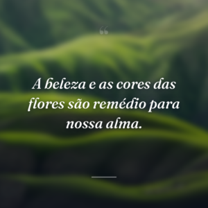 A beleza e as cores das flores são remédio para nossa alma.