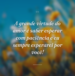 A grande virtude do amor é saber esperar com paciência e eu sempre esperarei por você!