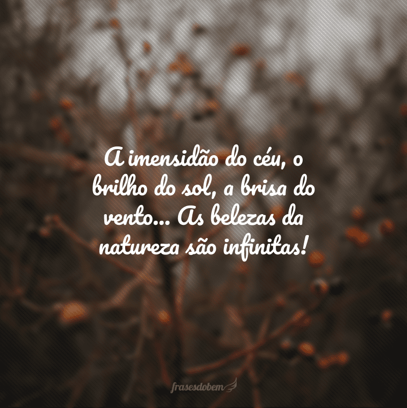 A imensidão do céu, o brilho do sol, a brisa do vento... As belezas da natureza são infinitas!