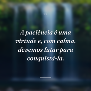A paciência é uma virtude e, com calma, devemos lutar para conquistá-la.