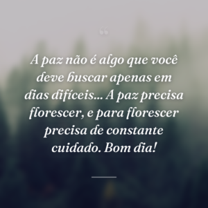 A paz não é algo que você deve buscar apenas em dias difíceis... A paz precisa florescer, e para florescer precisa de constante cuidado. Bom dia!
