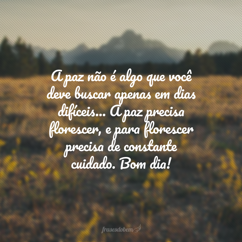 A paz não é algo que você deve buscar apenas em dias difíceis... A paz precisa florescer, e para florescer precisa de constante cuidado. Bom dia! 