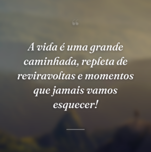 A vida é uma grande caminhada, repleta de reviravoltas e momentos que jamais vamos esquecer!