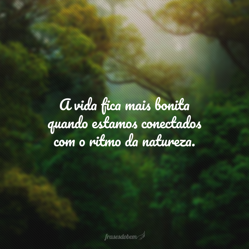 A vida fica mais bonita quando estamos conectados com o ritmo da natureza.