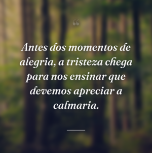 Antes dos momentos de alegria, a tristeza chega para nos ensinar que devemos apreciar a calmaria.