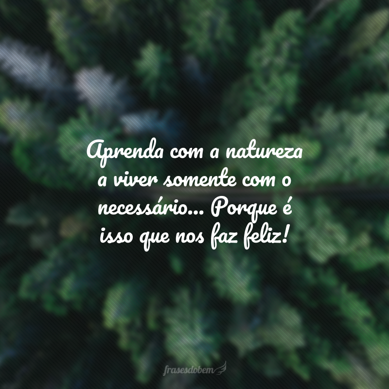 Aprenda com a natureza a viver somente com o necessário... Porque é isso que nos faz feliz!