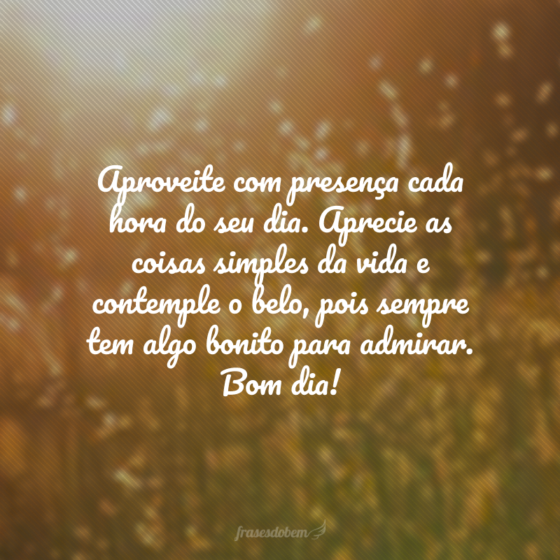 Aproveite com presença cada hora do seu dia. Aprecie as coisas simples da vida e contemple o belo, pois sempre tem algo bonito para admirar. Bom dia!