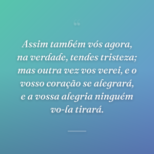Assim também vós agora, na verdade, tendes tristeza; mas outra vez vos verei, e o vosso coração se alegrará, e a vossa alegria ninguém vo-la tirará.