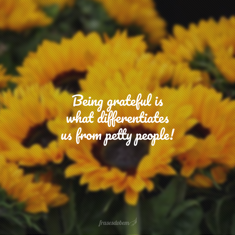 Being grateful is what differentiates us from petty people! (Ser grato é o que nos difere de pessoas mesquinhas!)