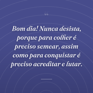 Bom dia! Nunca desista, porque para colher é preciso semear, assim como para conquistar é preciso acreditar e lutar.