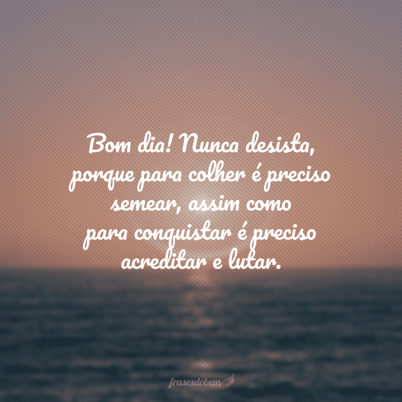 Bom dia! Nunca desista, porque para colher é preciso semear, assim como para conquistar é preciso acreditar e lutar.