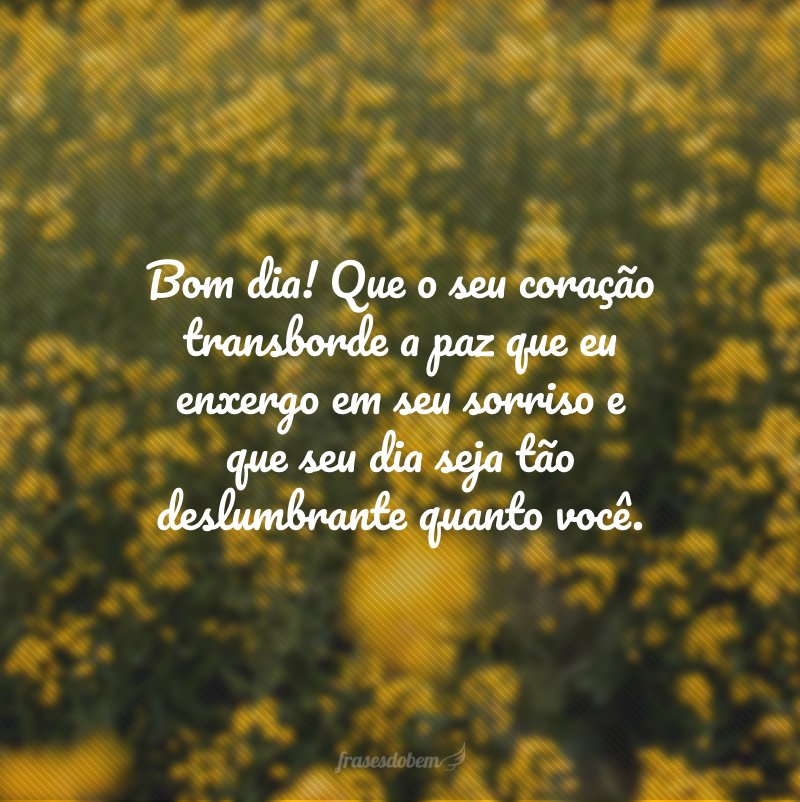 Bom dia! Que o seu coração transborde a paz que eu enxergo em seu sorriso e que seu dia seja tão deslumbrante quanto você. 