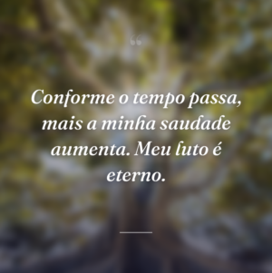 Conforme o tempo passa, mais a minha saudade aumenta. Meu luto é eterno.