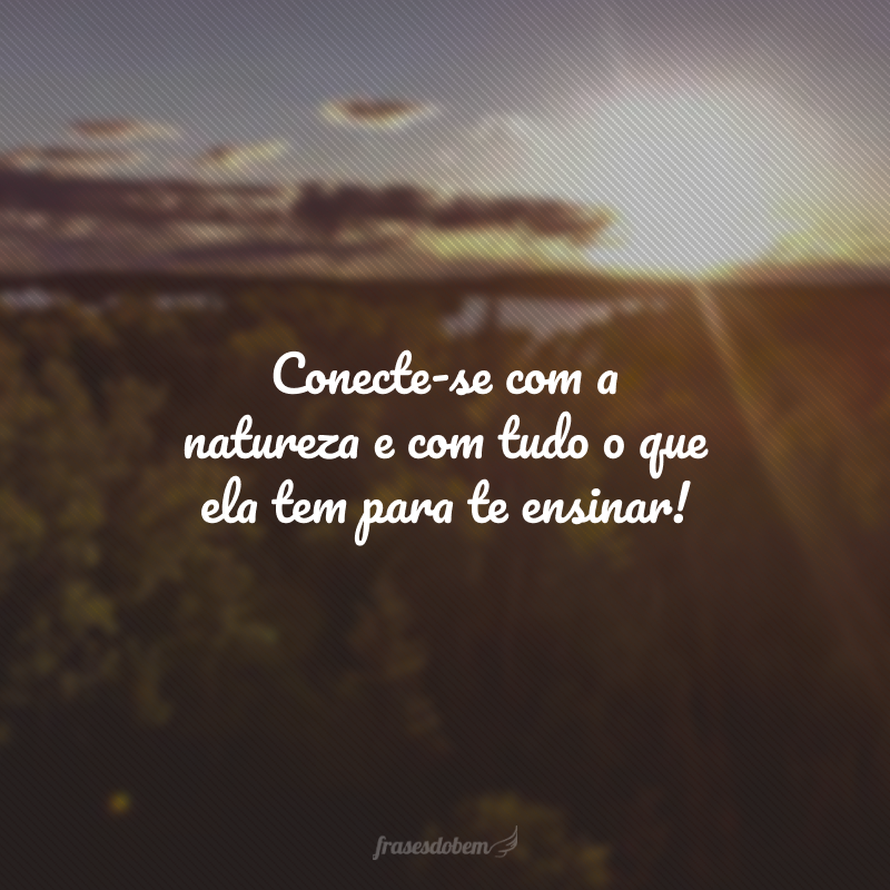 Conecte-se com a natureza e com tudo o que ela tem para te ensinar!