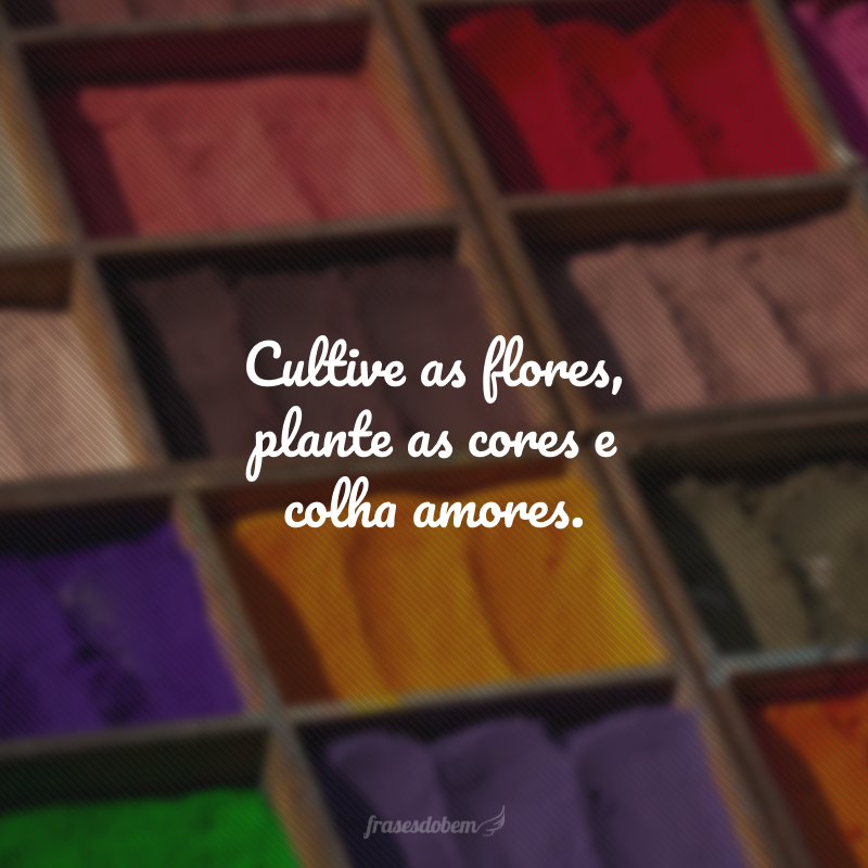 Cultive as flores, plante as cores e colha amores.