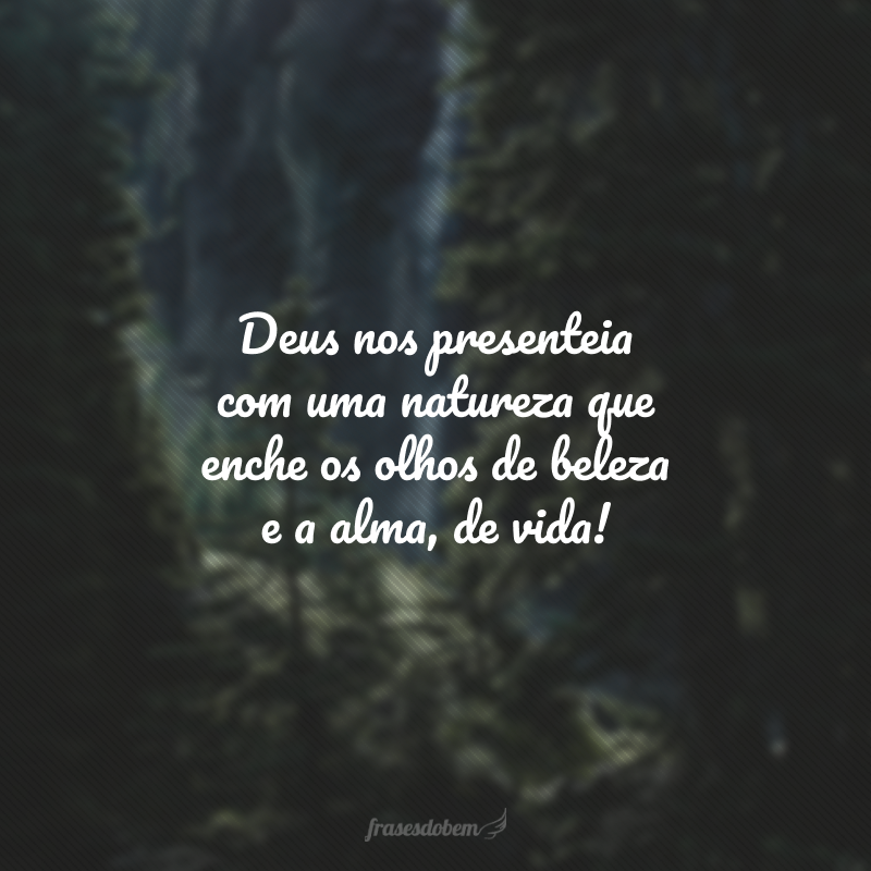 Deus nos presenteia com uma natureza que enche os olhos de beleza e a alma, de vida!