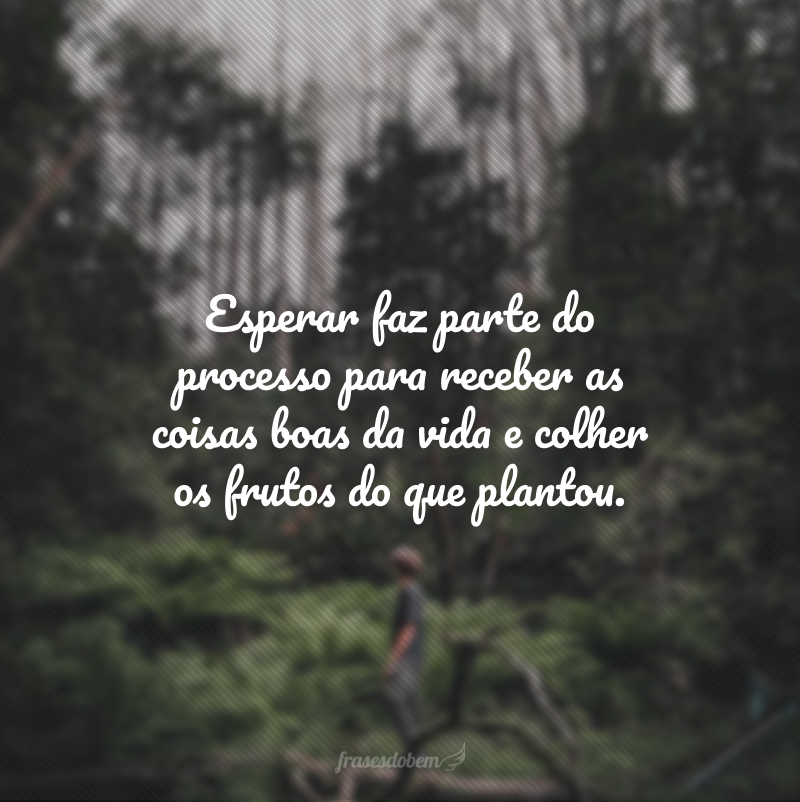 Esperar faz parte do processo para receber as coisas boas da vida e colher os frutos do que plantou.