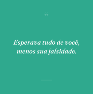 Esperava tudo de você, menos sua falsidade.
