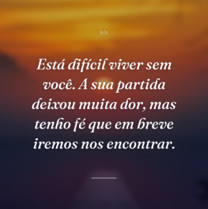 Está difícil viver sem você. A sua partida deixou muita dor, mas tenho fé que em breve iremos nos encontrar.