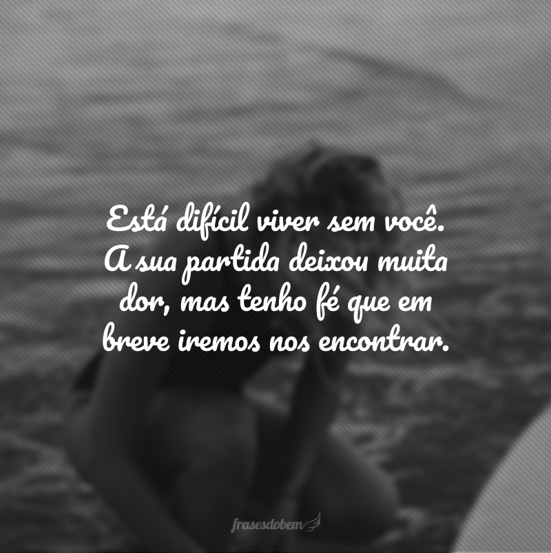 Está difícil viver sem você. A sua partida deixou muita dor, mas tenho fé que em breve iremos nos encontrar.