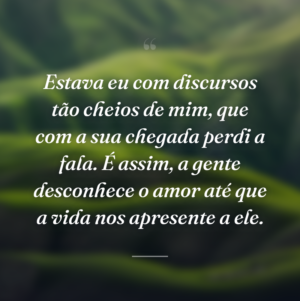 Estava eu com discursos tão cheios de mim, que com a sua chegada perdi a fala. É assim, a gente desconhece o amor até que a vida nos apresente a ele.