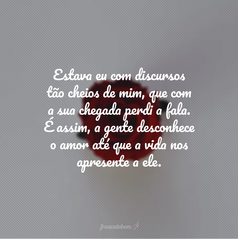 Estava eu com discursos tão cheios de mim, que com a sua chegada perdi a fala. É assim, a gente desconhece o amor até que a vida nos apresente a ele.