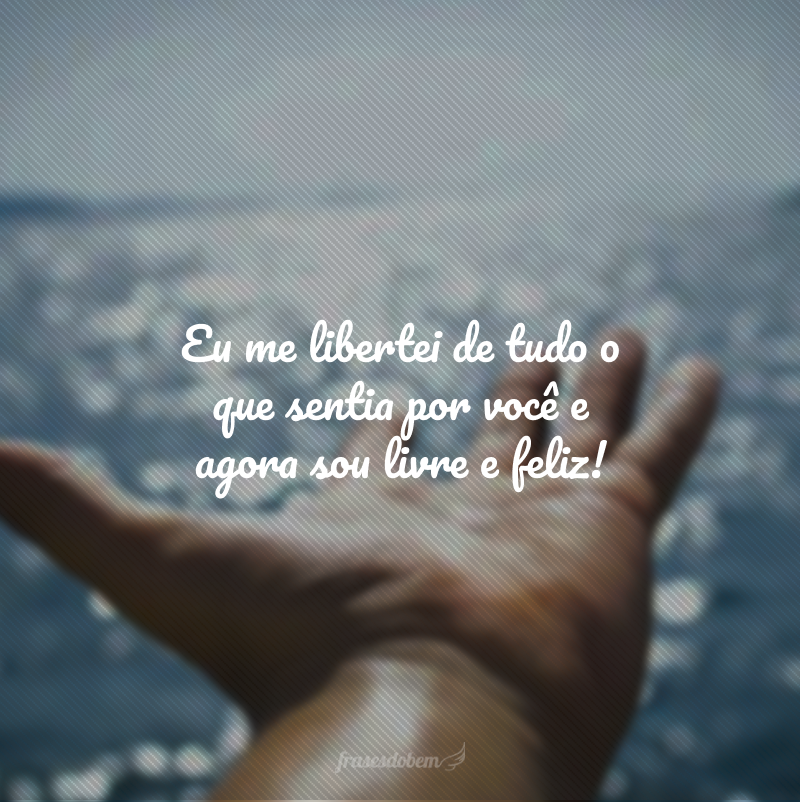 Eu me libertei de tudo o que sentia por você e agora sou livre e feliz!